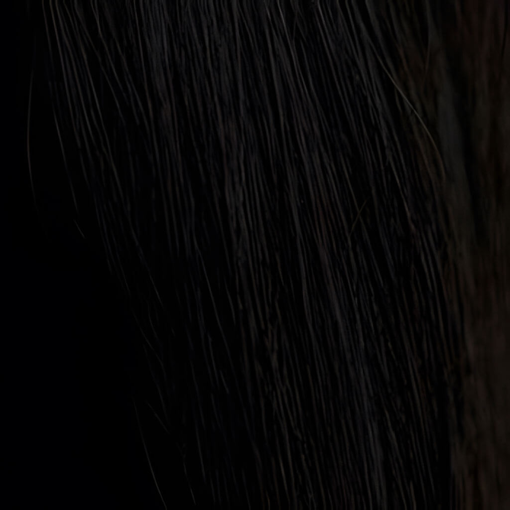 hair colour black 1B swatch