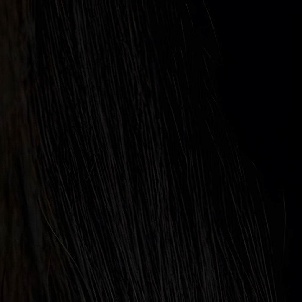 hair colour jet black 1 swatch