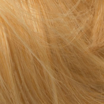 hair colour blonde 24B swatch