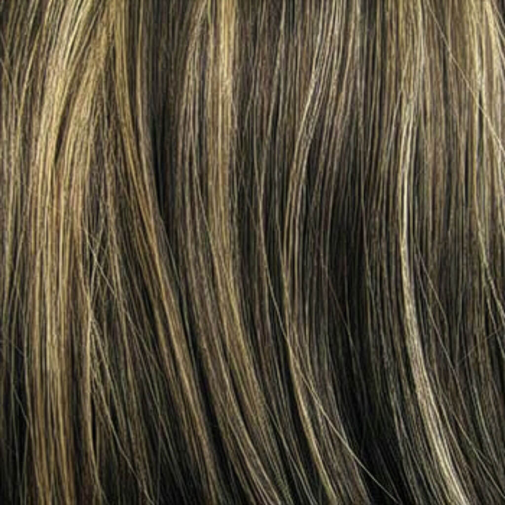 hair colour swatch brown with ash blonde highlights 6H24