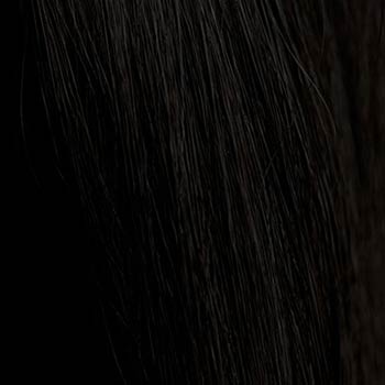 Annabelle's Wigs heat styleable synthetic wig black Half wig hairpiece (3/4 wig), long, Flexihair: Kate