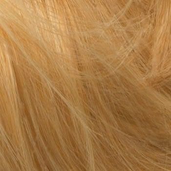 Annabelle's Wigs synthetic hair piece warm blonde 24b Ponytail hairpiece extension, layered: Elsa