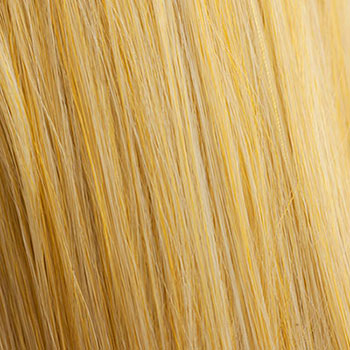 hair colour 24BH613 golden blonde mix